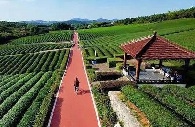 一市三省推薦！宜興上榜！休閑觀光活動引領文旅新風尚