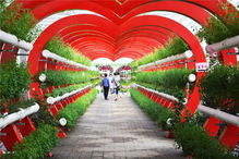 好嗨喲！農(nóng)業(yè)嘉年華五一火爆開(kāi)局，引爆休閑觀光新風(fēng)尚