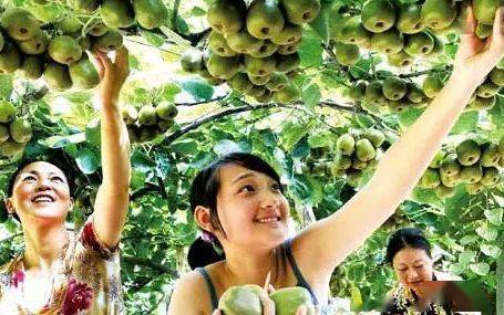 從田野到風(fēng)景 農(nóng)業(yè)園區(qū)向休閑旅游景區(qū)轉(zhuǎn)型升級的路徑探索